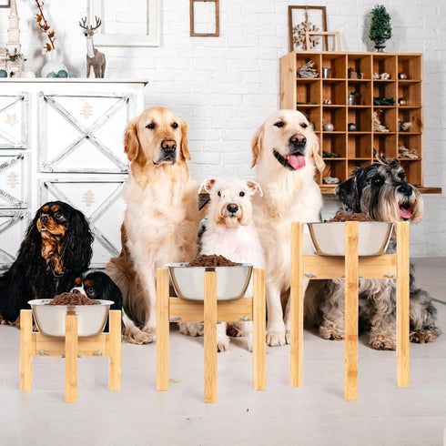Elevated Dog Bowl Stand, Adjustable Food Stand for 6”-8” Bowls, Single Dog Bowl Holder 7” Tall