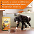 Nature’s Recipe Grain Free Chicken, Sweet Potato & Pumpkin Recipe Dry Dog Food, 24 lb Bag
