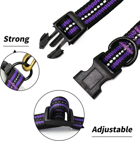 Mile High Life Reflective Dog Collar, Nylon Pet Collars with Buckle, Purple for Small Dogs (X-S)
