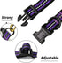 Mile High Life Reflective Dog Collar, Nylon Pet Collars with Buckle, Purple for Small Dogs (X-S)