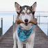 Bulkster Durable Chew Toy for Aggressive Chewers, Large, Real Bacon, Made in USA