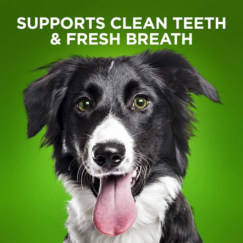 Fruitables Bioactive Dental Chews - Gluten and Grain-free Dental Treat for Medium Dogs - 10 count