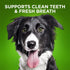 Fruitables Bioactive Dental Chews - Gluten and Grain-free Dental Treat for Medium Dogs - 10 count
