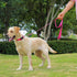 Waterproof Dog Leash, 5/6 FT Durable Odor-Proof Leashes with Strong Metal Hooks for Small to Large Dogs (Pink)