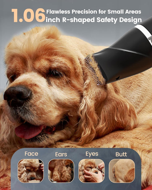4 1 2000mAh 2-Speed Trimmer PAPMINI in Dog Grooming Kit for Thick Hair, Heavy Duty Dog Clippers for Grooming, Low Noise