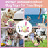 Dog Toys Soccer Ball with Straps, Durable Tug of War Balls, 5 Inch Puppy Birthday Gifts, Dog Water Toy for Small Dogs