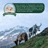 Authentic Himalayan Yak Cheese for Dogs, Jumbo (Pack of 1), Rawhide-Free, NO preservatives.
