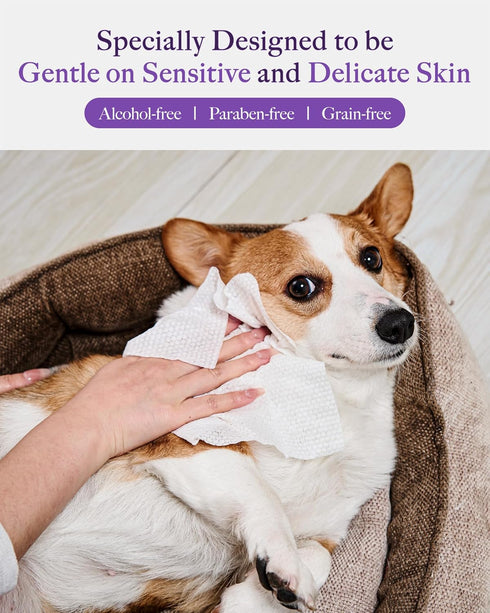 HICC PET Cleaning Deodorizing Wipes for Dogs & Cats, Plant-Based Gentle Wipes with Fresh Rose Scent