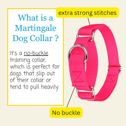 Country Brook Petz Martingale Dog Collar, Heavy-Duty Training Collar, Hot Pink, 3/4 Inch, Small, No Buckle