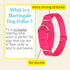 Country Brook Petz Martingale Dog Collar, Heavy-Duty Training Collar, Hot Pink, 3/4 Inch, Small, No Buckle