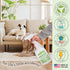 X2 Ultra Concentrated Pet Stain and Odor Remover, Enzyme Cleaner for Dog Urine and Poop, Safe for Carpet Furniture