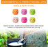 Squeaky Dog Toy Balls with Funny Piggy Face, Durable Teething Latex Rubber, Interactive Fetch Play (6PCS) for Small