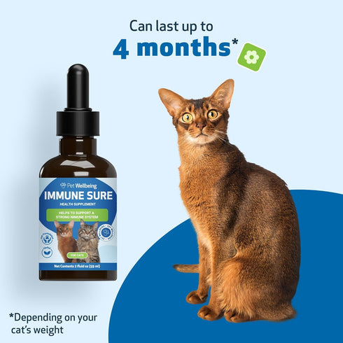 Pet Wellbeing Immune Sure for Cats - Herbal Supplement 2 fl oz - Supports Immune Defenses & Gut Flora