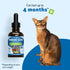 Pet Wellbeing Immune Sure for Cats - Herbal Supplement 2 fl oz - Supports Immune Defenses & Gut Flora