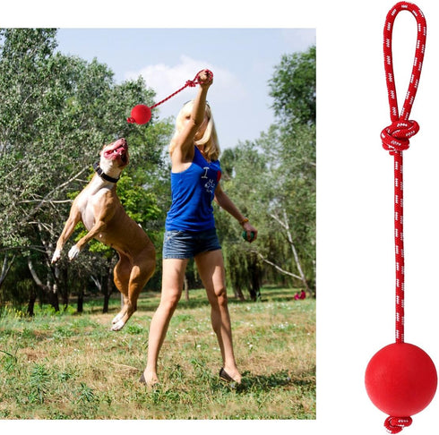 UEETEK Red Dog Training Ball on Rope: 2.95 Inch Diameter Rubber Toy for Puppy Fetch Catch Throw Training