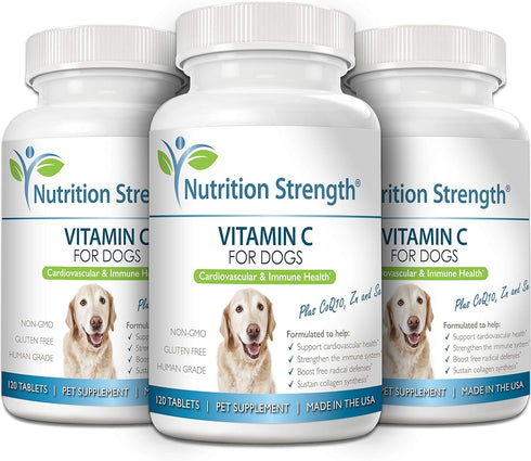 Vitamin C for Dogs to Support Cardiovascular Health, Immune System, Free Radical Defenses, 120 Chewable Tablets
