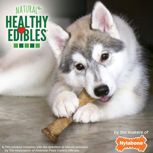 Nylabone Healthy Edibles Puppy Chews, Long Lasting Lamb & Apple Flavor, X-Large/Souper (1 Count)