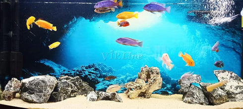 Aquarium Background Poster, Under Water Cave Sunlight Fish Tank Backdrop Decorations (24" x 16")