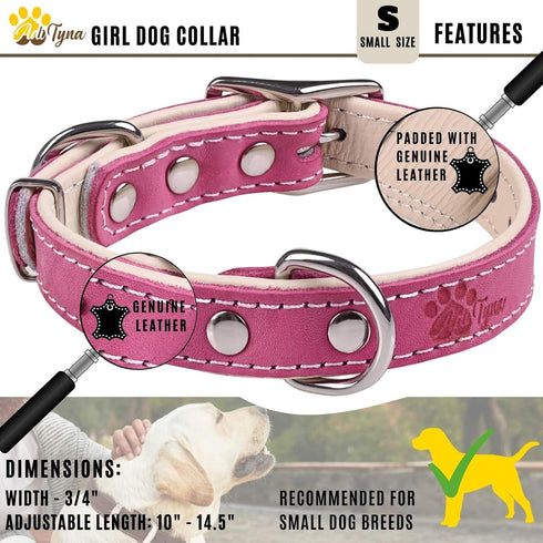 ADITYNA Heavy-Duty Pink Leather Dog Collar for Small Dogs, Soft Padded for Comfort - Girl Dog Collar for Walking,