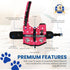 Paws Aboard Dog Life Jacket - Adjustable, Reflective, Comfortable Swim Vest for Dogs, XX-Small to Extra Large (Pink