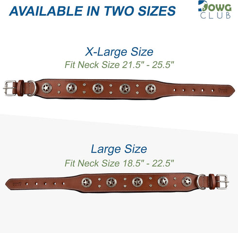 Genuine Leather Dog Collar | Saddle Grade, Full Grain, Heavy Duty for Medium, Large, XL Breeds (L, Tan)