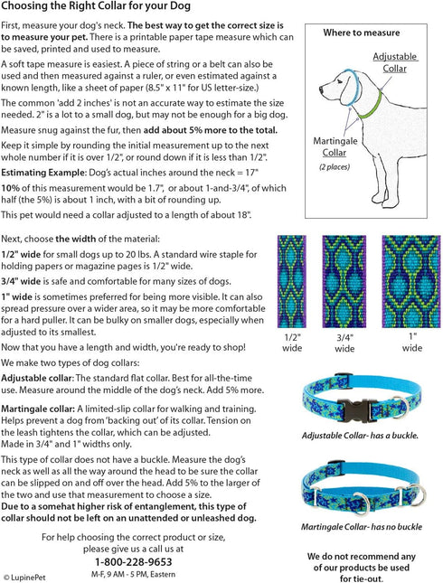 Lupine Reflective Dog Collar - 3/4" Wide Blue Paws, Adjustable from 13" to 22"