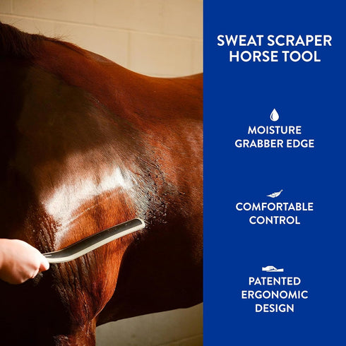WAHL Professional Animal Equine Grooming Sweat Scraper Tool - Black Color