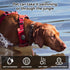 Airtag Dog Collar Holder 2 Pack, Super Waterproof Mount for Apple AirTag, Fits All Pet Width Collars for Dogs