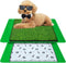 Annexfun Dog Grass Mat with Pee Pad 2025", Small Dog Litter Box