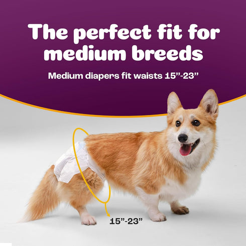 (48 Count)) Inspire Pet Care Dog Diapers Female Dogs | Bulk Value Doggie Incontinence, Accidents, for Heat, Pee