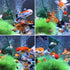 Quaziret Skimmer 3/4/5/6/8/10inch Fine Mesh Fish Net for Fish Tank - Aquarium Net Scoop, Aquarium Net with Plastic