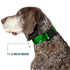 Buckle-Down St. Pat's Stacked Shamrocks Greens Plastic Clip Collar, Large, 15-26"