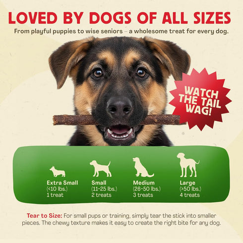 2 lb Chewmasters Beef Stix - Grass-Fed Beef Dog Treats, Soft Chewy Real Meat, Healthy Dog Treats for Training Rewards