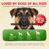 2 lb Chewmasters Beef Stix - Grass-Fed Beef Dog Treats, Soft Chewy Real Meat, Healthy Dog Treats for Training Rewards