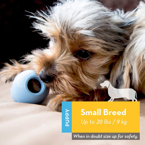 KONG Puppy Natural Teething Rubber Chew Toy, Stuffable for Extended Playtime, Chew & Fetch Toy for Small Puppies, Blue