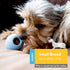 KONG Puppy Natural Teething Rubber Chew Toy, Stuffable for Extended Playtime, Chew & Fetch Toy for Small Puppies, Blue
