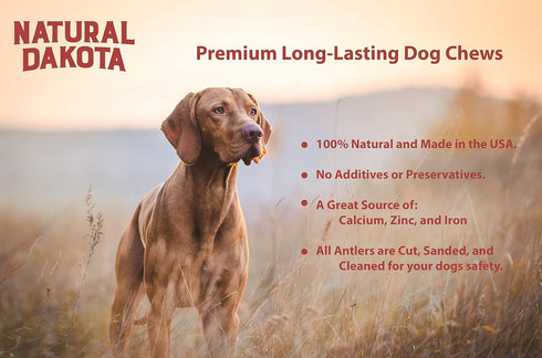 Premium Deer Antler Dog Chew Toys, 1 LB Splits, Points, & Tines