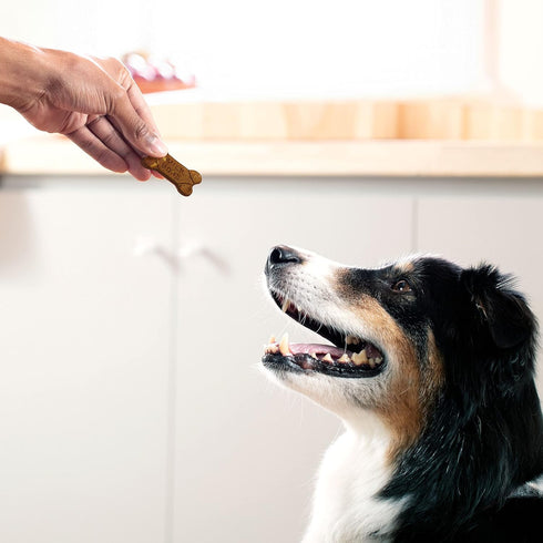 Milk-Bone Simply Soft & Chewy Dog Treats, Wholesome Chicken Recipe, 25 Ounces, Made with Real Chicken