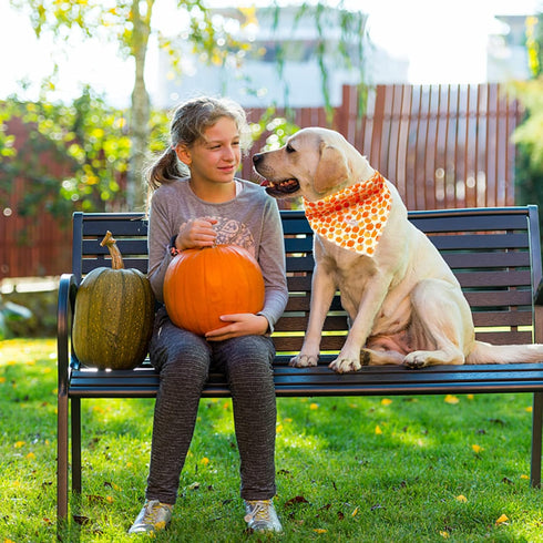1PC Dog Bandana, Halloween Pumpkin Dog Bandanas Girl Boy Bibs Scarf Soft Dog Kerchief Pet Bandanas Small Medium Large