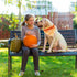 1PC Dog Bandana, Halloween Pumpkin Dog Bandanas Girl Boy Bibs Scarf Soft Dog Kerchief Pet Bandanas Small Medium Large