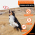 BIONIC Toss-N-Tug Dog Toy, High-Visibility Ultimate Multi-Action Toy