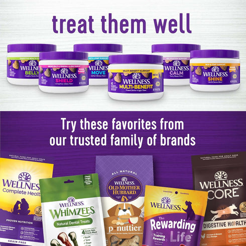 45 Count Wellness Peanut Butter & Apple Flavored Soft Chews Multi-Benefit Supplements for Dogs