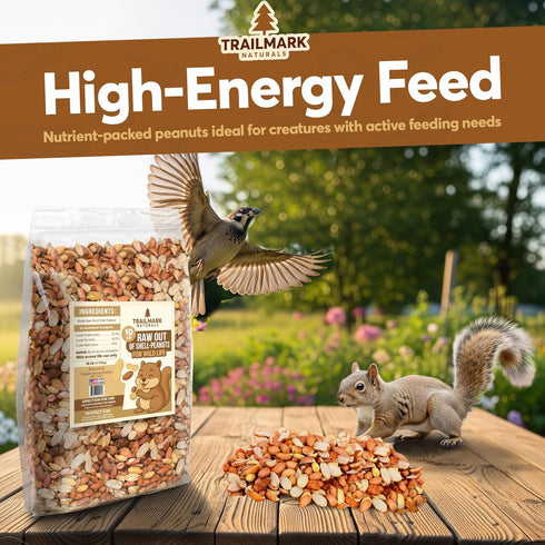 10 LB - Raw Shelled Peanuts For Squirrels, Out of Shell Peanuts For Birds and Wildlife- Squirrel Food, Wild Bird Seed