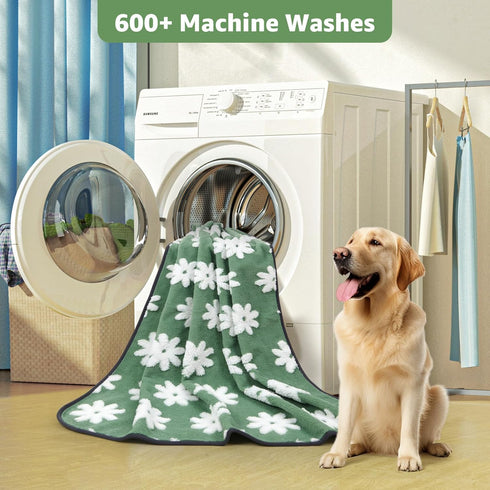 (36"x24", 2 Packs) LOOBANI Washable Puppy Pads: Waterproof Reusable Pee Pads for Dogs, Non-Slip and Leak-Proof Dog Pee