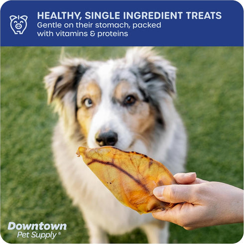 Downtown Pet Supply Pig Ears, 5 Pack, SOUTH AMERICA & TURKEY