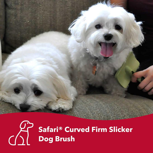 Coastal Pet Safari Curved Firm Slicker Dog Brush - Animal Hair Brush for Dogs of All Types - Pet Brush for Shedding - Grooming Tools for Dogs - Dog Pin Brush for Detangling - 6.5" x 3.06"