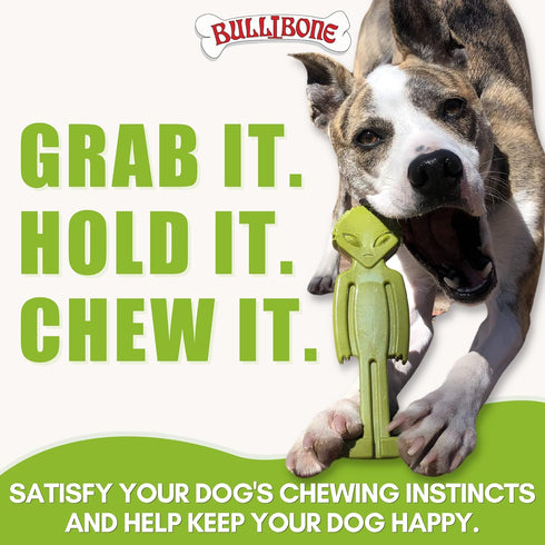 Bullibone Alien Bone: Chew Toy for Small Dogs and Aggressive Chewers