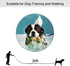 Long Dog Leash Free Range, 30 Foot Nylon Training Lead for Medium and Large Dogs, Black