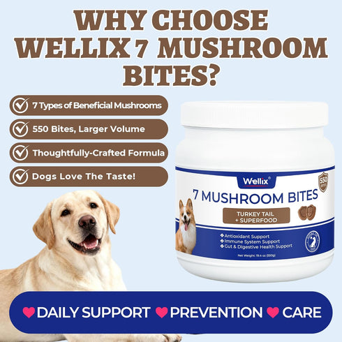 550 Immune, Bites Turkey Tail Mushroom for Dogs - Gut, Skin, Joint Health Mushroom Supplement for Dogs - Turkey Tail