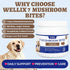 550 Immune, Bites Turkey Tail Mushroom for Dogs - Gut, Skin, Joint Health Mushroom Supplement for Dogs - Turkey Tail